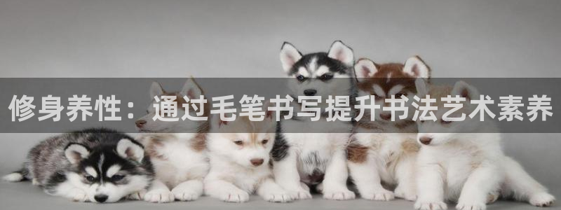 修身养性：通过毛笔书写提升书法艺术素养