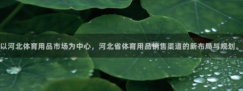 以河北体育用品市场为中心，河北省体育用品销售渠道的新布局与规划。