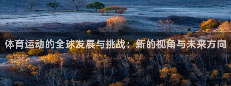 体育运动的全球发展与挑战：新的视角与未来方向