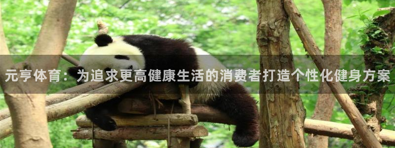 元亨体育：为追求更高健康生活的消费者打造个性化健身方案