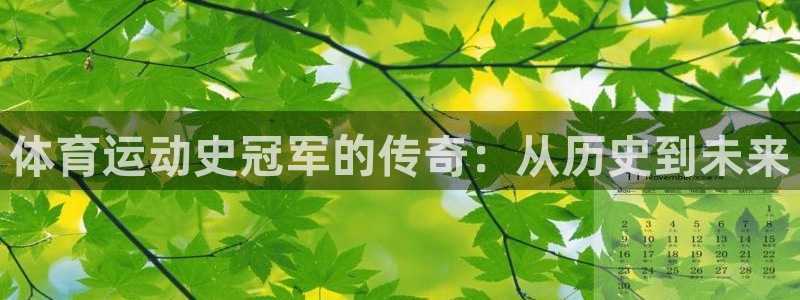 体育运动史冠军的传奇：从历史到未来