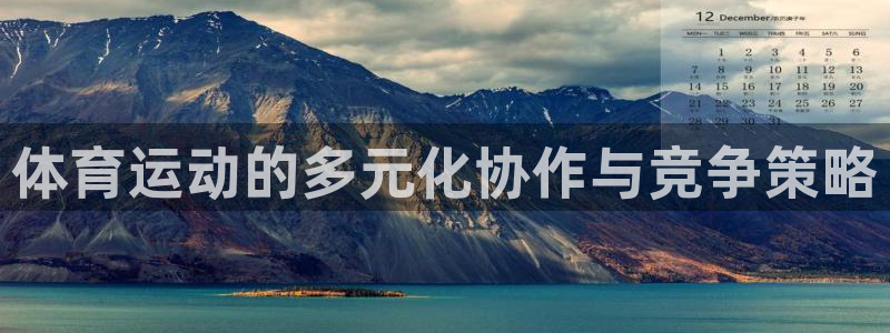 体育运动的多元化协作与竞争策略