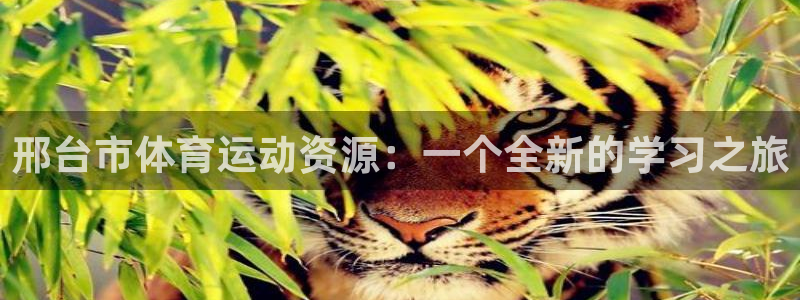 邢台市体育运动资源：一个全新的学习之旅