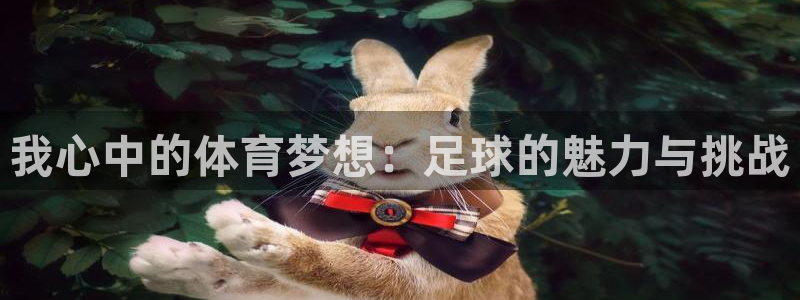 我心中的体育梦想：足球的魅力与挑战