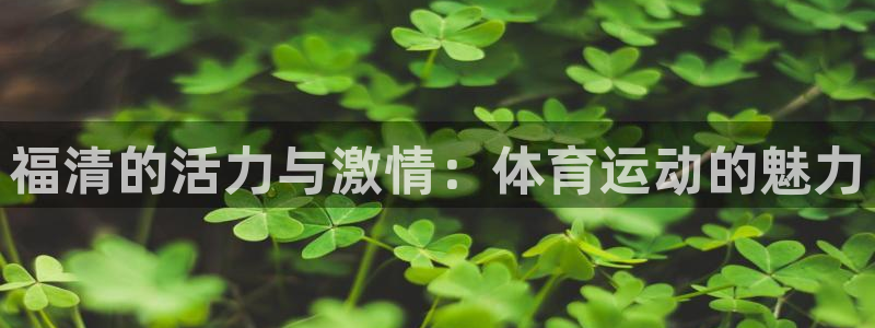 福清的活力与激情：体育运动的魅力