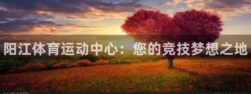 阳江体育运动中心：您的竞技梦想之地